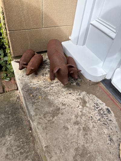 A close, slightly angled shot shows a set of four small, rusted, cast-iron pig figurines arranged by a doorway in Pulverbatch, United Kingdom. The figurines, a large sow and three piglets, sit on an uneven, weathered concrete surface. The edge of a white painted doorframe is visible to the left and above the pigs. Below the pigs, green ivy and other small plants grow along a brick-lined edge of the concrete. The concrete continues to the right and downwards, becoming increasingly weathered. The pigs are positioned near the base of the doorway, seemingly placed as decorative elements.