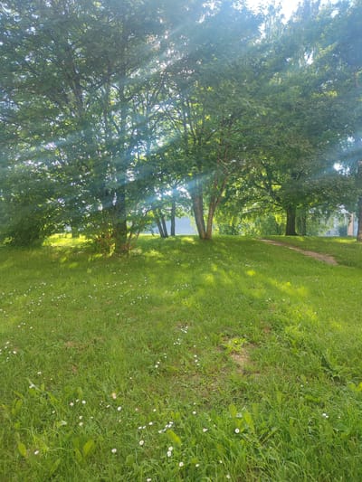 This is a photograph of a park in Jõhvi, Estonia, on a bright, sunny day. The foreground is dominated by a lush green lawn dotted with small white daisies. The grass is illuminated by bright sunbeams that stream through the leaves of several large trees, creating a dappled light effect on the ground. A winding path made of stone or concrete is visible on the right side of the image, leading up a gentle incline.
In the mid-ground, a cluster of mature trees with full green canopies provides shade. Their branches and leaves are silhouetted against the bright sky, and sunlight filters through them, casting long shadows across the grass. Beyond the trees, in the background, there is a glimpse of buildings, suggesting an urban or suburban park setting. The overall impression is one of a peaceful, summery day in a well-maintained park. The bright sunlight and the presence of greenery evoke a feeling of warmth and tranquility. There is no visible text in the image.