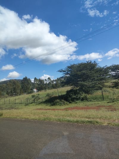 The image depicts a scene in Kibirichia ward, Kenya. A paved road occupies the foreground. Beyond the road, a grassy field stretches towards a treeline. A rudimentary wooden fence runs along the edge of the field. Several trees are scattered across the field, with one large, mature tree dominating the right side of the frame. In the distance, a cluster of taller trees is visible against a blue sky with scattered white clouds. Overhead, power lines run across the top of the image. A small structure with a light-colored roof is partially obscured by trees in the middle distance. No people or animals are visible.