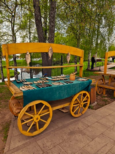 The image shows a yellow wooden cart used as a fish stand. The cart has large wheels and a green cloth covering the table-like surface. Dried fish are displayed on the cloth, and some are also hung from the upper part of the cart. In the background, there's a park-like area with trees, a pond, and a black metal fence. People can be seen walking in the distance. The location is Uglich, Russia.