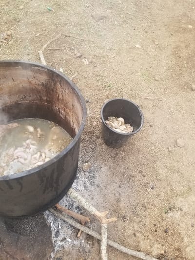 The image shows a large black metal pot filled with water and what appears to be animal organs, resting on a small fire constructed of sticks.  A smaller black plastic bucket containing more organs sits to the right of the pot. The scene is likely located in a rural area of Pati Ridge, Nigeria, based on the coordinates provided. The ground is brown and dusty. The image shows a simple outdoor cooking scene.  There is no indication of people in the image.