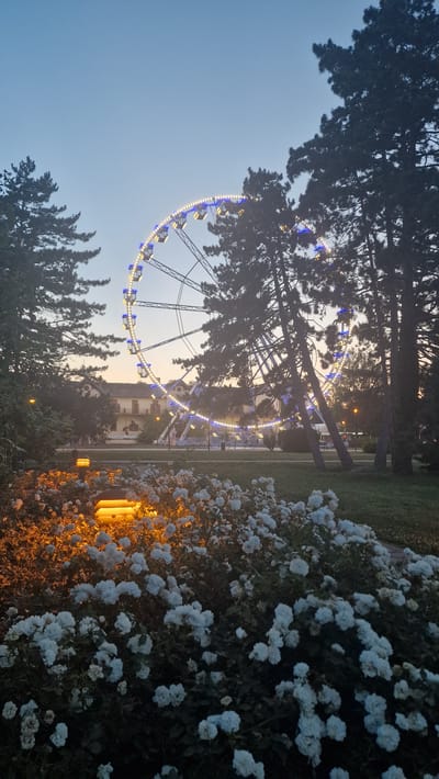 The image shows a Ferris wheel illuminated with blue and yellow lights at dusk, located in the city of Keszthely, Hungary. In the foreground, a bed of white roses is visible, with a modern-style lantern emitting warm light. Tall evergreen trees frame the scene, partially obscuring the Ferris wheel and a building in the background. The sky is clear and pale blue, indicating the transition from day to night. There are no people clearly visible in the image. The overall atmosphere is serene and picturesque, characteristic of an amusement park or recreational area in the evening.