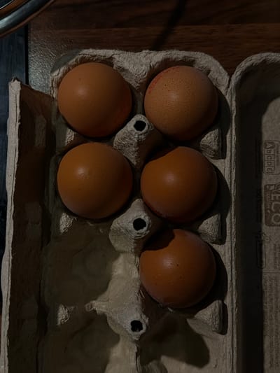 This media file is a close-up, overhead shot of a carton of brown eggs in an egg carton. There are five eggs visible, arranged in a 2x3 grid with one empty spot. The eggs are a light to medium brown color and appear to be whole and intact. The egg carton is made of gray, molded paper pulp. Some text is visible on the lid of the egg carton, including "NUTRI-SCORE ABCDE," "ECO DESIGN," and what appears to be Polish text. The lighting suggests the photograph was taken indoors, likely in a kitchen or pantry, possibly during the day given the shadows. The setting appears to be Słupsk, Poland, as indicated by the text. The overall mood is neutral and domestic, focusing on the subject of food preparation or storage.