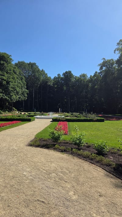 The image depicts a well-maintained park area, likely within Palanga, Lithuania, characterized by a clear blue sky and lush greenery. A gravel path winds through the foreground, leading towards a manicured garden. This garden features geometric flowerbeds with vibrant red blooms, neatly trimmed hedges, and a white rectangular fountain in the mid-ground. Several classical statues are visible near the fountain, adding an artistic touch to the landscape. The background is dominated by a dense forest of tall trees. The scene is devoid of any people, suggesting a peaceful, uninhabited atmosphere.