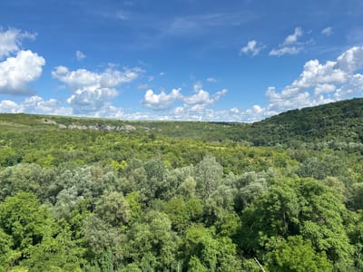 This is an aerial landscape photograph of a lush, verdant valley under a bright blue sky dotted with fluffy white clouds. The foreground and middle ground are dominated by a dense forest with a variety of trees and foliage, displaying varying shades of green. In the background, rolling hills covered in more greenery recede into the distance, with a sliver of rocky terrain visible on a distant ridgeline. The scene appears to be a natural landscape, likely a park or protected area, given the untamed wilderness depicted. The location is identified as being in the city of Ivanovo, Bulgaria. No people, objects, or actions are discernible in the image; it is purely a depiction of the natural environment.