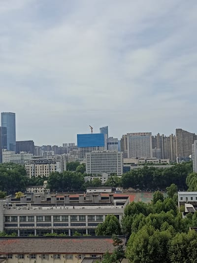 The image presents a daytime, elevated view of a city skyline in Hongshan District, China. The scene is dominated by a dense collection of buildings, ranging from modern high-rises to lower-rise structures, interspersed with lush green trees. The sky is overcast with a pale, hazy blue.
In the background, a tall, slender skyscraper with a blue-tinted facade stands prominently on the left. To its right, a series of mid-rise and high-rise buildings form the urban fabric. One building features a prominent sign with red Chinese characters. A crane and a large blue tarp cover are visible on a partially constructed building in the mid-ground.
The foreground is occupied by several lower-level buildings, some with visible windows and architectural details like ventilation units. These buildings are surrounded by dense foliage. A running track and sports field are partially visible through the trees in the middle right portion of the image. The overall impression is one of urban development coexisting with significant green spaces. No people are discernable in the image.