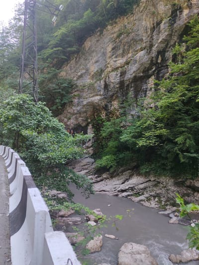 The image depicts a rugged natural scene, possibly in or near Achara, Georgia, characterized by a steep, rocky cliff face overgrown with lush green vegetation. A grey, fast-flowing river carves its way through a gorge at the base of the cliff. On the left side of the frame, a concrete barrier with black and white stripes lines the edge of what appears to be a road or walkway. A tall, dark metal pylon with lights on top stands prominently on the left, near the cliff. The rocks of the cliff are layered and textured, showing signs of erosion and possibly water stains. The river is dotted with smooth, light-colored rocks, some partially submerged. The overall atmosphere is one of wild, natural beauty, with the man-made barrier and pylon providing a subtle contrast to the untamed landscape. No people are clearly visible in the image.