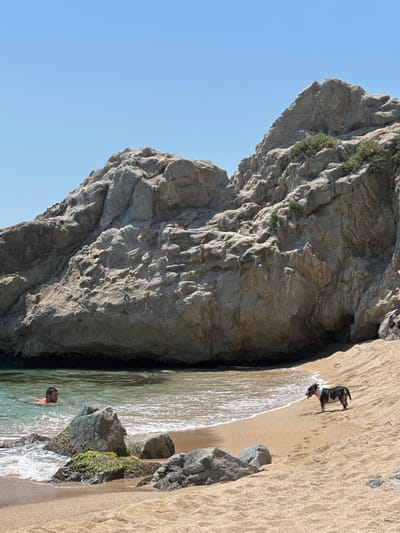 A medium shot shows a dog and a person in the water on a beach in Arenys de Mar, Spain. The dog, a small breed with black and white markings, stands on the sand near the water's edge. The person, a male, swims in the clear turquoise water. Large, rocky cliffs form the backdrop, with sparse vegetation growing on them. The sand is a light tan color, and the sky is a clear, bright blue. The overall scene suggests a sunny day at a secluded beach.