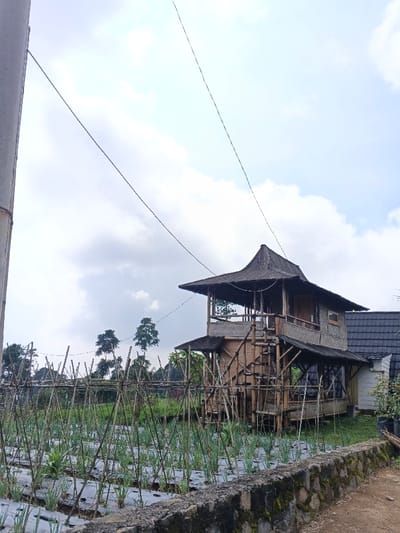 The image depicts a rural or semi-rural scene in Kutkai, Myanmar, under a partly cloudy sky. In the foreground, a grey concrete utility pole is visible on the far left. A low stone wall constructed from irregularly shaped rocks cemented together runs across the bottom of the frame, separating a dirt path on the lower right from a cultivated field. The field features rows of green plants, possibly scallions or similar vegetables, growing through black plastic mulch film. Numerous bamboo poles are vertically oriented and arranged in a criss-cross pattern within this field, likely serving as plant supports.
To the right of the field stands a distinctive two-story structure, primarily constructed from bamboo or light wood, featuring a dark, multi-tiered, thatched or shingled roof with upturned eaves. The upper story includes an open-air balcony section with a railing and an enclosed room with a wooden door and a small rectangular window. An external staircase, also made of bamboo, provides access to the upper level. Adjacent to the right of this bamboo structure, part of another building with a dark grey tiled gable roof is visible. In the background, beyond the cultivated area and buildings, several trees with green foliage are present against the horizon. No individuals or specific actions are discernible within the frame.