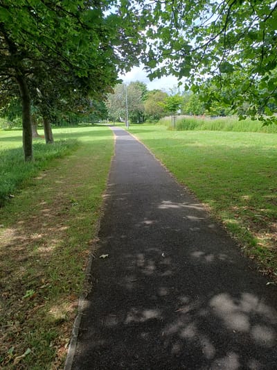 This media file depicts an outdoor scene in Middlesbrough, United Kingdom. The primary subject is a paved pathway winding through a grassy park. Lush green trees with dense foliage frame the left side of the pathway, casting dappled shadows on the asphalt. The grass appears well-maintained, with some areas showing patches of dry leaves and twigs, suggesting a time in late summer or early autumn.
In the background, beyond the expanse of grass, more trees and vegetation are visible, leading towards a slightly overcast sky. A lamppost can be seen in the distance, hinting at the park's infrastructure. There are no people or animals visible in the scene, nor any specific activity taking place. The overall impression is one of tranquility and a typical daytime setting in a public park. The sunlight filtering through the leaves suggests it is daytime, and the presence of shadows indicates a sunny or partly sunny day. There is no visible text in the image.