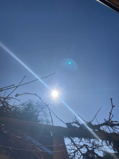 The scene depicts an upward view of a clear, bright blue sky in Raduil, Bulgaria. The sun, appearing as a brilliant white disc, is positioned in the lower-middle portion of the sky, producing a distinct diagonal lens flare that extends across the frame. A secondary circular, blue-green lens flare is visible in the upper-right quadrant of the sky. The lower half of the image is dominated by a dense, intricate network of dark brown, leafless woody branches and vines, likely dormant, which appear to be growing over an unseen structure. Partially visible beneath these branches are elements of a weathered building structure, including a horizontal beam and a section of a wall with a reflective surface, possibly a window, casting reflections of the sky. In the background, through the sparse foliage of the foreground, leafless trees are silhouetted against the clear sky. No individuals or discernible actions are present.