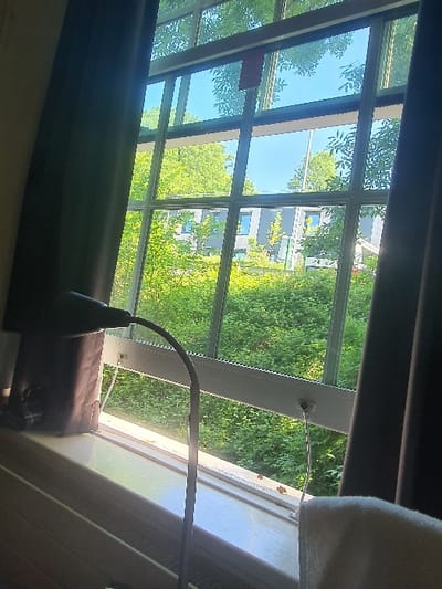 The image is a view from inside a room looking out a window at a green, leafy tree and shrubbery. The window is divided into 10 panes, with white framing. The window is partially covered by a dark brown curtain on the right side. A silver-colored lamp with a black base is positioned on the window sill. The image was taken in Exeter, United Kingdom, at the location (latitude: 50.736, longitude: -3.538).