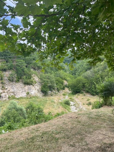The image depicts a lush, green landscape, possibly a ravine or valley, in Echinos, Greece. In the foreground, dry, tan grass covers a sloping mound. Above this, a dense canopy of large, green leaves from a sycamore tree partially obscures the view. The middle ground reveals a rocky, uneven terrain with sparse vegetation, leading into a heavily wooded area. The background is filled with a dense forest of varying shades of green trees stretching up a hillside. Several thin, white wires, likely power lines, are visible strung across the upper middle section of the image, indicating the presence of human infrastructure in the otherwise natural setting. The overall impression is one of a natural, slightly unkempt environment with signs of distant human presence. There are no people or animals visible in the image.