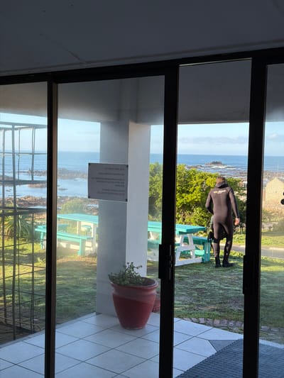 A daytime photograph captures a view from inside a building looking out through a large glass door or window onto an outdoor coastal scene in Overstrand Local Municipality, South Africa. The image is originally rotated and shows the scene sideways.
The main subject is a person dressed in a black wetsuit, standing outside on a patch of grass. The wetsuit has a visible logo on the back that appears to say "SHARK SKIN." The person is facing away from the viewer, looking towards the ocean. In the immediate background, there are two light-colored benches on the grass. Beyond these, the scene opens up to a rocky coastline with the blue ocean under a clear sky. Green vegetation, including trees and grass, is abundant in the foreground and midground of the outdoor area.
Inside, part of a tiled floor and a red potted plant are visible to the right of the frame. Attached to a white wall outside, seen through the glass, is a white sign with text. The text, though somewhat reflective, is largely legible and reads: "WWW.OVERSTRAND.GOV.ZA", "NO SWIMMING OR ENTRY INTO THE SEA", "BEACH AND ALL RECREATIONAL AREAS", "TO ALL RESIDENTS.", "Please be considerate and comply with", "THE REGULATIONS.", and "ONLY YOUR LOCAL BEACH REMAINS CLOSED".
The presence of the person in a wetsuit near the ocean, despite the visible sign indicating a beach and sea closure due to regulations, is a notable detail. The light suggests it is daytime with good weather.