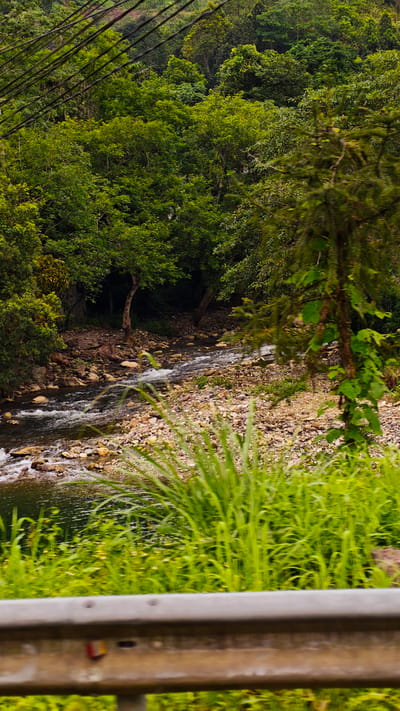 The image depicts a rocky riverbed in Minh Tân Commune, Vietnam. The river flows through a dense forest of green trees. Cables run overhead. The photograph was taken from the side of a road, with a metal guardrail visible in the foreground. There are no people visible. The scene is natural, featuring water, rocks, trees, and grass.