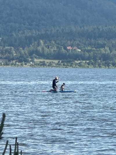In Tsigov chark, Bulgaria, on a body of water, a person kneels on a paddleboard, holding a paddle. Another paddleboard is nearby with a dog sitting on it. The water is calm with gentle ripples, reflecting the sky. In the background, a lush green forest covers rolling hills. The sky is a hazy blue, suggesting a clear but possibly humid day. The scene depicts a leisurely outdoor activity on a serene natural landscape.