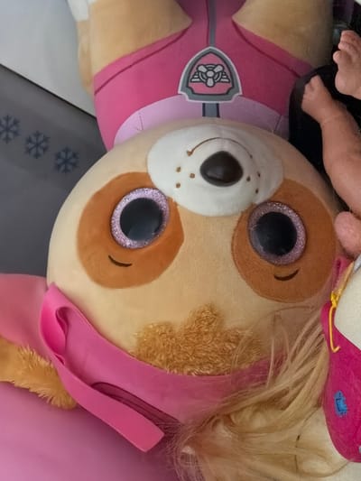 The image features a plush toy of Skye, a character from the animated children's television series "Paw Patrol". The toy is depicted in a close-up shot that emphasizes its face and parts of its outfit. Skye has large, sparkling eyes with brown markings surrounding them and a white muzzle with a black nose. She wears a pink vest with a grey emblem. The surrounding context includes what appears to be a child's foot and leg, suggesting the toy may be a play object. The presence of snowflakes on what looks like a table indicates a winter-themed or holiday setting. There is no information indicating the city of Bearpark, United Kingdom, or any other specific location.