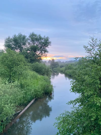 The image depicts a serene natural landscape at twilight near Baklushi, Russia. The scene is dominated by lush green trees and vegetation lining the banks of a calm body of water, likely a river or lake. The sky is a soft blue, transitioning to warm hues of orange and pink near the horizon, suggesting either sunrise or sunset. A gentle mist hovers over the water and further inland, adding a sense of depth and atmosphere.
The water reflects the surrounding trees and the colorful sky, creating a mirrored effect. A weathered log rests partially submerged along the bank, adding a rustic element to the scene. The foliage is dense and varied, with some trees appearing tall and mature, while others are covered in smaller bushes and grasses. The overall impression is one of tranquility and natural beauty. There is no visible text in the image.