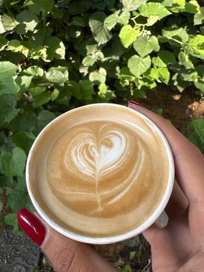 A close-up, high-angle shot captures a person holding a paper cup of coffee outdoors. The hand, with manicured fingers and shiny red polished fingernails on the thumb and forefinger, cradles the white disposable cup. Inside the cup, the light brown coffee features intricate latte art, forming a distinct heart shape composed of swirling white foam patterns.
The background is filled with vibrant green foliage, consisting of numerous broad leaves from bushes or plants, suggesting a lush, natural setting like a garden or park. Patches of bright sunlight illuminate the leaves, creating highlights and shadows, which indicates a clear, sunny day. The ground visible through gaps in the leaves appears to be dark soil or mulch. The image conveys a moment of enjoying a beverage in a pleasant outdoor environment. This scene is set in Plovdiv, Bulgaria. No visible text is present in the image.