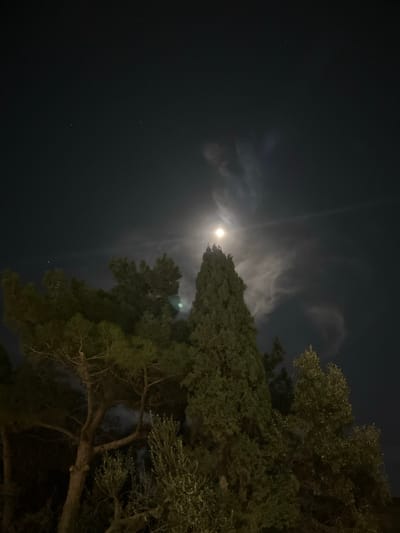 The image captures a nighttime outdoor scene in San Ġwann, Malta. The upper two-thirds of the frame display a dark night sky dotted with several visible stars. A luminous, full or near-full moon is positioned in the upper-middle, casting light on wispy, semi-transparent clouds that extend diagonally downwards to the right from the moon. The lower third of the image is occupied by a dense arrangement of trees, primarily silhouetted against the illuminated sky. A tall, slender coniferous tree, likely a cypress, stands centrally, its apex extending towards the moon. To its left, a broader coniferous tree, possibly a pine, is partially visible. Towards the lower right, additional trees with denser, smaller leaves, possibly olive trees, are present. A faint green lens flare is observed to the left of the central tall tree. No individuals, animals, or man-made structures are discernible within the frame.