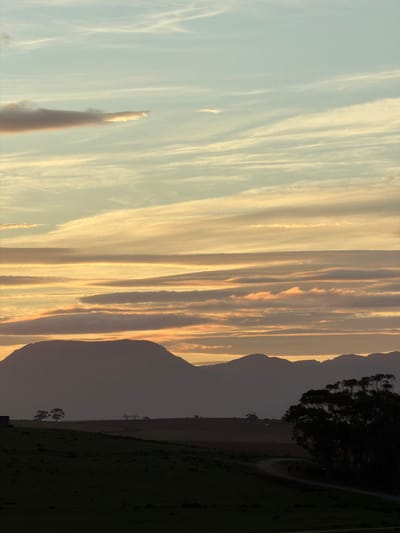 The image depicts a landscape in George, South Africa at dusk or dawn. The sky is filled with striated clouds in hues of pale blue, yellow, and orange. To the right, a mountain range is silhouetted against the sky. Closer to the foreground on the right, a dark area contains trees and vegetation, with a visible road or path winding through it. In the mid-ground, a field or open area stretches from the base of the mountain towards the foreground. No people are visible.