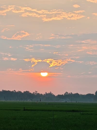 The image depicts a rural landscape in Mee Pangwa, Indonesia, during either sunrise or sunset. The upper two-thirds of the frame present a sky with a gradient transitioning from orange-red at the horizon to lighter blue-grey overhead, populated by scattered altocumulus and stratus clouds illuminated in orange, pink, and grey hues. The sun, appearing as an intense orange-yellow flattened semi-circle, is partially obscured by clouds and positioned slightly above the horizontal midline. A dense, dark green tree line forms the horizon, silhouetted against the sky. Faint, light-colored structures are vaguely discernible within the distant foliage. The lower third of the frame showcases extensive vibrant green cultivated fields, consistent with rice paddies. Throughout these fields, numerous thin, dark vertical stakes are present, some topped with white elements. Two dark, flag-like objects on poles are observed in the left mid-ground. No human figures or specific activities are visible.