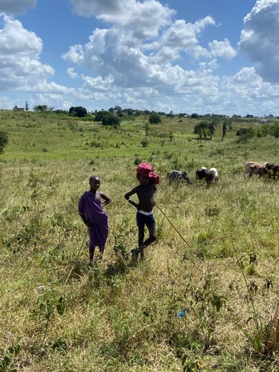 Two individuals stand in a grassy field under a bright, cloudy sky. The person closer to the foreground wears a patterned purple and red garment. The other person has a red cloth on their head, shorts, and a white belt. Both appear to hold long, thin sticks or ropes. In the background, cows and goats graze on the land. The scene is natural and rural, suggesting a pastoral setting.