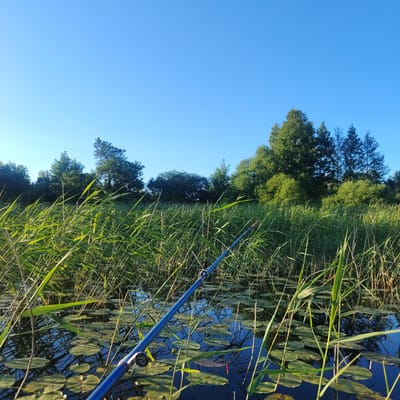 A fishing rod lies diagonally across a body of water filled with lily pads and reeds. The water is dark blue and reflects the clear, bright blue sky above. A line of trees forms the horizon in the background, with dense green foliage. The scene appears to be set in the early morning or late afternoon due to the quality of light. The location is identified as Vecslabada, Latvia.
