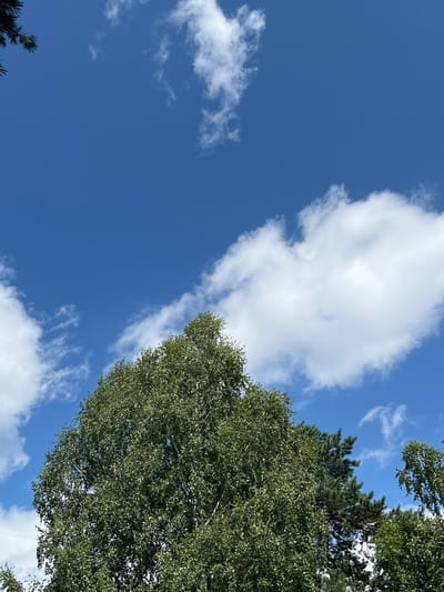 The image depicts a bright, sunny day with a clear blue sky filled with scattered white clouds. In the foreground, the tops of several trees, including a prominent birch tree with lush green foliage, are visible. Some coniferous trees with dark green needles are also present. The scene appears to be outdoors, possibly in a park or a natural setting within the city of Karagaiskii, Russia. No people or specific activities are visible in the frame. The overall impression is one of a pleasant summer day.
