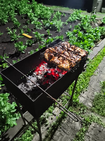 A barbecue grill is set up outdoors, with chicken pieces cooking on a rack over glowing red embers. The grill is situated in a garden area with dark soil and various green plants. To the right, a paved pathway with grass growing alongside it is visible. The scene appears to be taking place at night, with some artificial lighting illuminating the area. The location is identified as Il'mino, Russia.