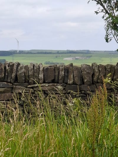 A stone wall is in the foreground of the image, with tall grass and weeds in front of it. In the background, there is a field with a wind turbine and some buildings. The sky is overcast. The image appears to be taken in the countryside, likely outside of Barnsley, United Kingdom, given the presence of a wind turbine and the style of the stone wall.