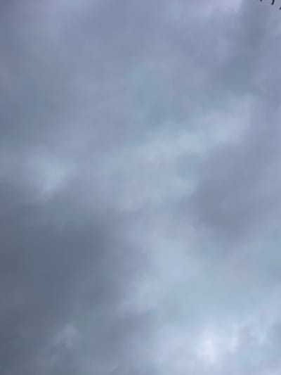 This media file is a close-up, high-angle shot of a cloudy sky. The clouds are predominantly gray, indicating overcast or stormy weather. There are subtle variations in the density of the clouds, with some areas appearing brighter where light is peeking through. The overall mood is somber and atmospheric. There are no discernable subjects like people, objects, or specific landscape features. The image is an abstract representation of the sky, and due to the lack of context, it is impossible to determine the time of day or specific location beyond the general context provided. There is no visible text in the image.