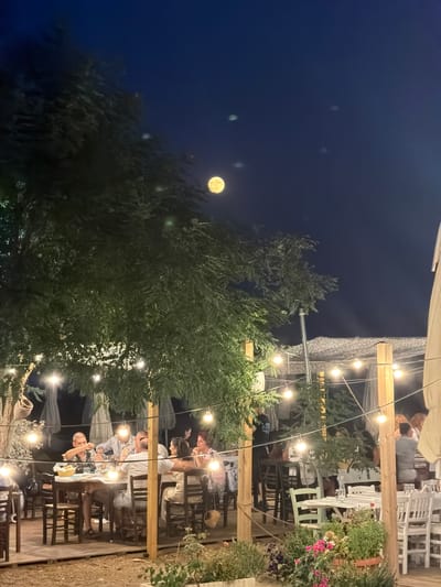 The image depicts an outdoor dining scene at night, likely in Νέα Καλλικράτεια, Greece, under a full moon. A group of people are seated at tables, engaged in conversation and dining. The atmosphere is illuminated by string lights draped from trees and overhead structures. The foreground features potted plants with flowers, while the background shows more tables and seating areas, suggesting a restaurant or taverna. The dark sky with a visible moon indicates a nighttime setting.