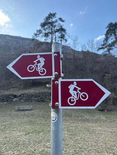 A galvanized metal signpost stands centrally in a rural outdoor setting within Stalden (VS), Switzerland. It features two red, arrow-shaped signs with white borders and white silhouettes of a mountain biker wearing a helmet and backpack. The upper sign points left, while the lower sign points right. Both signs are secured to the post with metal clamps and bolts. A circular sticker, partially visible on the lower portion of the pole, depicts a bicycle gear and text including "Bike Trails". The immediate foreground consists of sparse, dry grassy ground. In the left-midground, a light-colored, rectangular concrete or stone trough structure is visible on the ground. The background features a steep hillside or mountain slope covered with a mix of bare deciduous trees and dark green coniferous trees, under a clear to partly cloudy blue sky. Sunlight illuminates the scene from the upper left.
