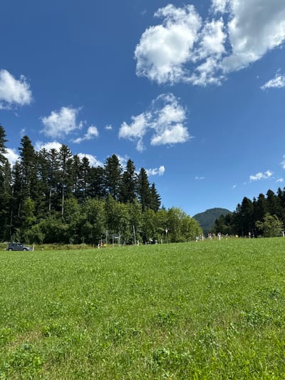 The image depicts a scenic view of a grassy field in Bischofswiesen, Germany, on a clear day with a bright blue sky and scattered white clouds. The field is lush green and appears well-maintained. In the background, a dense forest of evergreen trees lines the horizon, with a distant mountain visible. A paved road runs along the edge of the field, and a grey car is parked on the side of the road. Several road signs and traffic cones are also visible along the roadside. The overall impression is one of a peaceful, rural landscape.