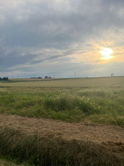 A landscape image depicts a field under a cloudy sky with the sun partially visible. The foreground is dominated by a row of harvested hay or straw. Beyond this, a field of green grass and wildflowers stretches into the distance, leading to a larger field of crops, possibly wheat, which appears to be ripe. In the background, a line of wind turbines and utility poles are visible on a gently sloping hill. The sky is a mix of dark and light gray clouds, with the sun casting a bright yellow glow through a break in the clouds on the right side of the frame. The overall impression is of a rural setting in Neustadt, Germany, during either early morning or late afternoon given the lighting.