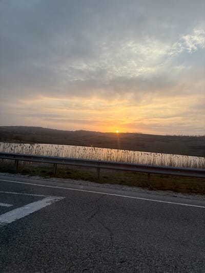 An outdoor scene captured at either sunrise or sunset in Gostagaevskaya, Russia, depicts a rural landscape from the perspective of a roadside. The lower portion of the image features a dark asphalt road, displaying cracks and wear, with a faded white painted line partially visible on its left side. Immediately beyond the road is a strip of green and brown grass, followed by a grey, two-bar metal guardrail extending horizontally across the frame.
Behind the guardrail, a calm body of water, likely a lake or pond, reflects the warm, orange-yellow light of the low sun. The water's edge is densely populated with tall, dry, golden-brown reeds or marsh grass. In the middle distance, undulating hills or elevated terrain are visible, sparsely covered with vegetation, including scattered trees. The sun, a distinct bright orange orb, is positioned low on the horizon, slightly right of center, casting a visible ray of light across the water. The sky above is partially overcast, featuring a gradient of light blue, grey, and soft orange hues near the horizon, transitioning to darker grey clouds higher up. No individuals or active subjects are present.