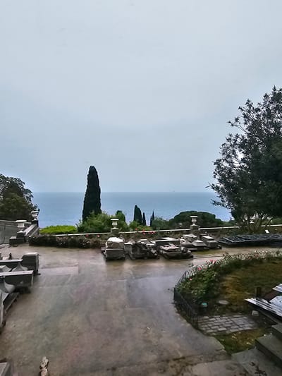The image shows a view of the sea from a cemetery located in Алупкинский городской совет, Ukraine. The photo is taken from a high vantage point, looking down on a pathway that runs through the cemetery. Gravestones and monuments are visible along the pathway, interspersed with greenery. In the background, the sea is visible under a gray sky. A tree is visible in the top left corner of the image. The pathway is paved with stone and appears to be slightly wet or damp. There are no people visible in the image.