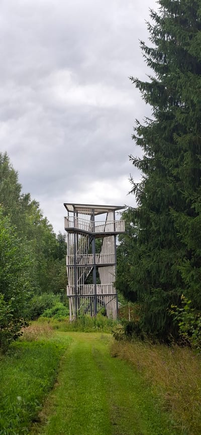 An observation tower, made of metal and wood, stands amidst a forest of tall trees and greenery. The tower is multi-tiered with balconies and a covered top platform. A grassy path leads towards the tower through the vegetation. The sky is overcast with gray clouds. The scene is located in Vihi, Estonia.