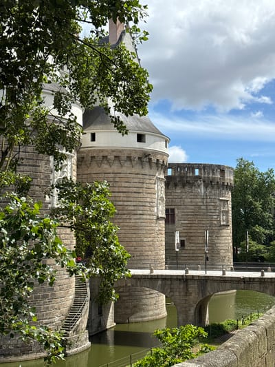 The image captures a section of the Château des ducs de Bretagne in Nantes, France, on a clear day with scattered clouds. In the foreground, lush green foliage frames the left side of the scene, partially obscuring the castle's stone ramparts and a winding outdoor staircase. The castle itself is constructed of large, rough-hewn stones, with prominent circular towers and crenellated battlements. A stone bridge with arched supports spans a moat filled with green water, connecting the castle to the viewer's perspective. Several flags or banners are visible on poles along the bridge. Beyond the castle and bridge, dense green trees indicate a park or garden area, and a section of the blue sky with white clouds is visible above. The overall impression is of a historic fortress surrounded by water and vegetation.