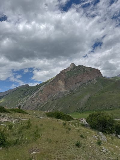 A wide, panoramic view of a mountainous landscape captures a prominent, rugged peak dominating the center of the frame. The mountain's face is a mix of earthy brown rock formations and verdant green slopes, with a sharp, pointed summit that pierces the cloudy sky. The sky itself is a dramatic canvas of grey and white clouds interspersed with patches of blue.

In the foreground, a grassy, uneven terrain slopes upwards, dotted with rocks and sparse vegetation. The grass is a mix of dry, straw-like hues and greener patches. Bushes and smaller plants are scattered across the immediate foreground, with larger, denser green shrubs visible on the right side of the frame, bordering a more open, distant grassy area.

The middle ground shows more of the mountainous terrain, with green slopes extending from the base of the main peak. The lower slopes are covered in lush green grass, with visible lines and patterns suggesting natural contours or possibly ancient terraces. The overall impression is one of a remote, natural setting within the region of El'tiubiu, Russia. No people or animals are visible in the scene. The lighting suggests it is daytime, likely overcast or early morning/late afternoon due to the diffused light.