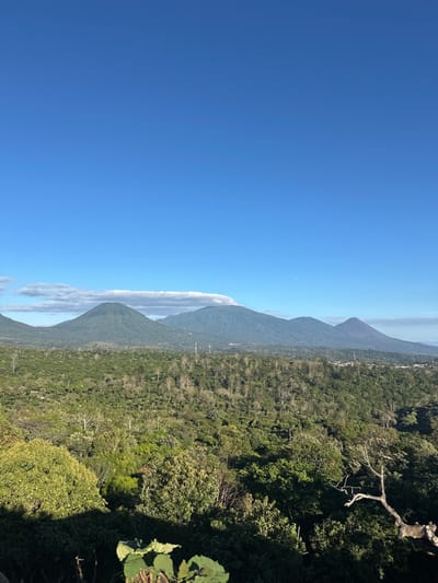 The image shows a landscape with a vibrant blue sky taking up the left half. Several mountains ascend toward the center, their slopes covered in dense green forest. A line of cloud rests against the bottom of the mountain furthest left. Trees and foliage frame the right side of the view, obscuring what would be below.