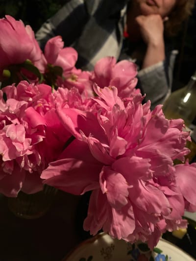 A close-up, low-angle shot captures a bouquet of vibrant pink peonies in a vase, with a blurred background. The flowers, with their ruffled petals, fill most of the frame. In the upper right background, a person wearing a plaid shirt rests their chin on their hand. The scene appears to be indoors, possibly in a residential setting in Solnechnaya Polyana, Russia, with hints of a bottle and another vase visible. The lighting is dim, creating a moody atmosphere, with the peonies themselves illuminated.