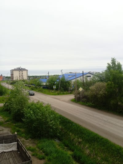 An elevated, straight-on view captures a cloudy day in Nyurba, Russia. A grey, unpaved road winds through the scene, bordered by lush green grass and dense trees. A dark SUV is seen driving on the road. To the left of the road, a pale, multi-story building with a grey roof stands out, with a smaller, red building visible in the distance. Further into the background, several low-rise buildings with bright blue roofs are nestled amongst the trees. The environment appears to be a residential or semi-industrial area. The overall impression is one of a quiet, overcast day in a sparsely populated region.