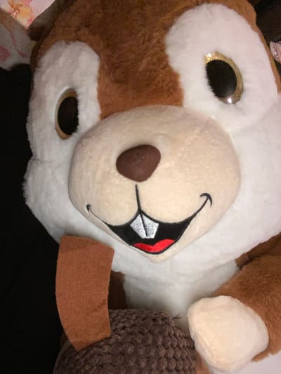 A close-up, frontal shot captures a plush toy resembling a chipmunk, likely a character from a children's media franchise. The toy has large, brown and white fur, with prominent brown eyes and a cream-colored muzzle featuring embroidered teeth and a red mouth. It appears to be holding a brown, textured object, possibly an acorn. The background is dark and out of focus, with hints of pink and floral patterns visible in the upper left corner. The image is not in Gorna Malina, Bulgaria; it is a studio shot of a toy.