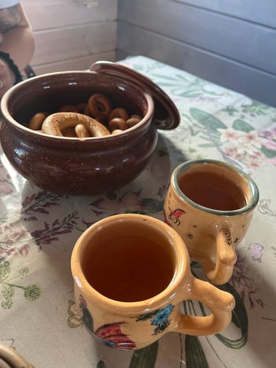 This media file depicts a still life of traditional Russian items arranged on a tablecloth with a floral pattern. The scene is set in Vybolovo, Russia.

The primary objects are two earthenware mugs and a dark brown earthenware pot filled with ring-shaped bread called "baranki" or "sushki." The mugs are light tan with hand-painted folk art designs, including figures and floral motifs. One mug has a blue flower and what appears to be a red bird or rooster motif, while the other has simpler black line drawings. Both mugs have handles. The pot is round with a lid slightly ajar, and it is overflowing with baranki.

The lighting suggests it is daytime, with sunlight casting shadows across the objects and the tablecloth, indicating a bright day. The tablecloth itself features a pattern of pink and purple flowers with green leaves and stems.

The overall mood is rustic and traditional, evoking a sense of home or a cozy gathering. No visible text is present in the image. The focus is on the textures and colors of the earthenware and the baked goods, set against the backdrop of the decorative tablecloth.