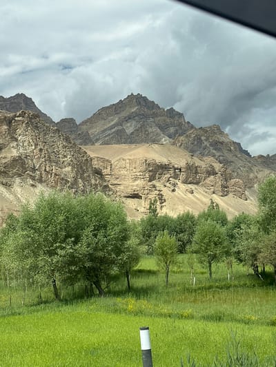 A wide shot captures a dramatic landscape under a cloudy sky in Mulbekh, India. In the foreground, a vibrant green field is dotted with yellow wildflowers. Behind the field, a line of lush green trees forms a natural barrier. Towering above, rugged, layered mountains rise, their rocky faces carved by time and elements. The sky is overcast with dramatic, dark clouds, hinting at impending weather. The scene is devoid of any people or human activity.