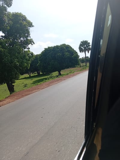 A perspective shot from inside a vehicle shows a paved road with a dusty shoulder lined with green grass and trees. On the right side of the image, a dark-colored car door or frame is visible. In the background, there are various trees, including a prominent palm tree, against a bright, hazy sky with scattered clouds. The scene appears to be a rural or suburban area in Rinjim Gani, Nigeria.