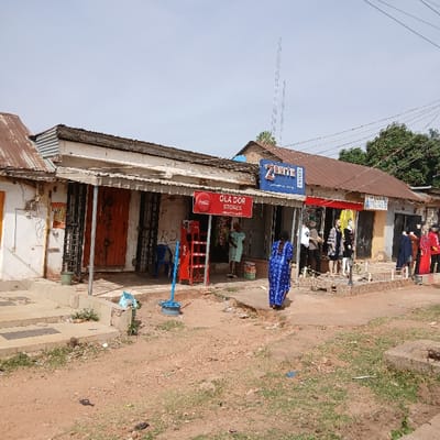 The scene is a street lined with small shops in Kufang, Nigeria (9.863, 8.867). The shops are made of concrete and have corrugated metal roofs. The street is unpaved and dusty. In the foreground, there are several people walking on the street. They are all wearing traditional Nigerian clothing. Some of the people are standing outside the shops, talking. One woman is wearing a blue gown and stands in front of a store called "Ola Dor Stores" which has a Coca-Cola sign above the entrance. This shop has a red metal awning, while a second shop has a blue and white sign and says "Zenith". The third shop has a red sign with "New Visions" written on it. There is a tall radio tower in the background. The sky is clear and blue. There are some trees on the right side of the image.