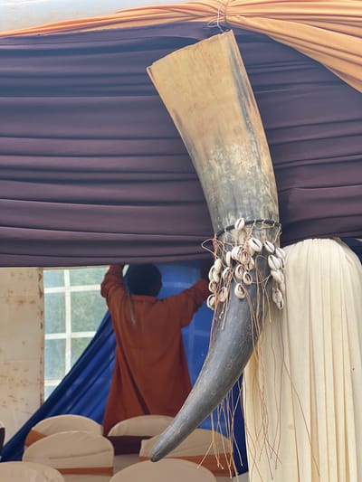 The image displays an indoor setting, likely in Makuyu, Kenya, characterized by draped fabrics and a prominent decorative element. The photo is oriented such that the primary subject, a large, curved animal horn, stretches horizontally across the frame.
The horn, possibly from a bull or buffalo, features a lighter, textured, and wider end, transitioning to a darker, smoother, and pointed tip. Its midsection is elaborately adorned with numerous white cowrie shells, intricately attached with thin, rustic strings or wires. Several fine, dried grass-like strands also extend from this decorated area.
The background consists of various draped fabrics. To the left, a light brown pleated curtain hangs. Adjacent to it, a darker brown or maroon pleated curtain provides a contrasting backdrop. Above the horn, a cream or beige fabric is draped horizontally.
In the lower right portion of the image, through a window or reflective surface, a person is visible. They are wearing an orange-brown long-sleeved garment and a dark cap, appearing to reach upwards, possibly adjusting a vibrant blue curtain hanging nearby. Behind the person, a window with white panes offers a glimpse of green foliage outside, indicating natural light and a daytime setting. To the far right, partially visible, are several white chairs adorned with blue sashes, suggesting preparations for an event or gathering. The overall scene conveys a sense of cultural decoration within a prepared venue. No text is visible in the image.